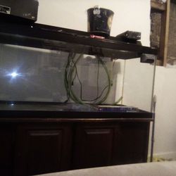 75 Gallon Fish Tank With Accessories 