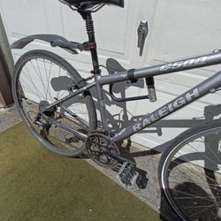 Ladies Hybrid Bicycle- Raleigh 16in.  9x3 Gears
