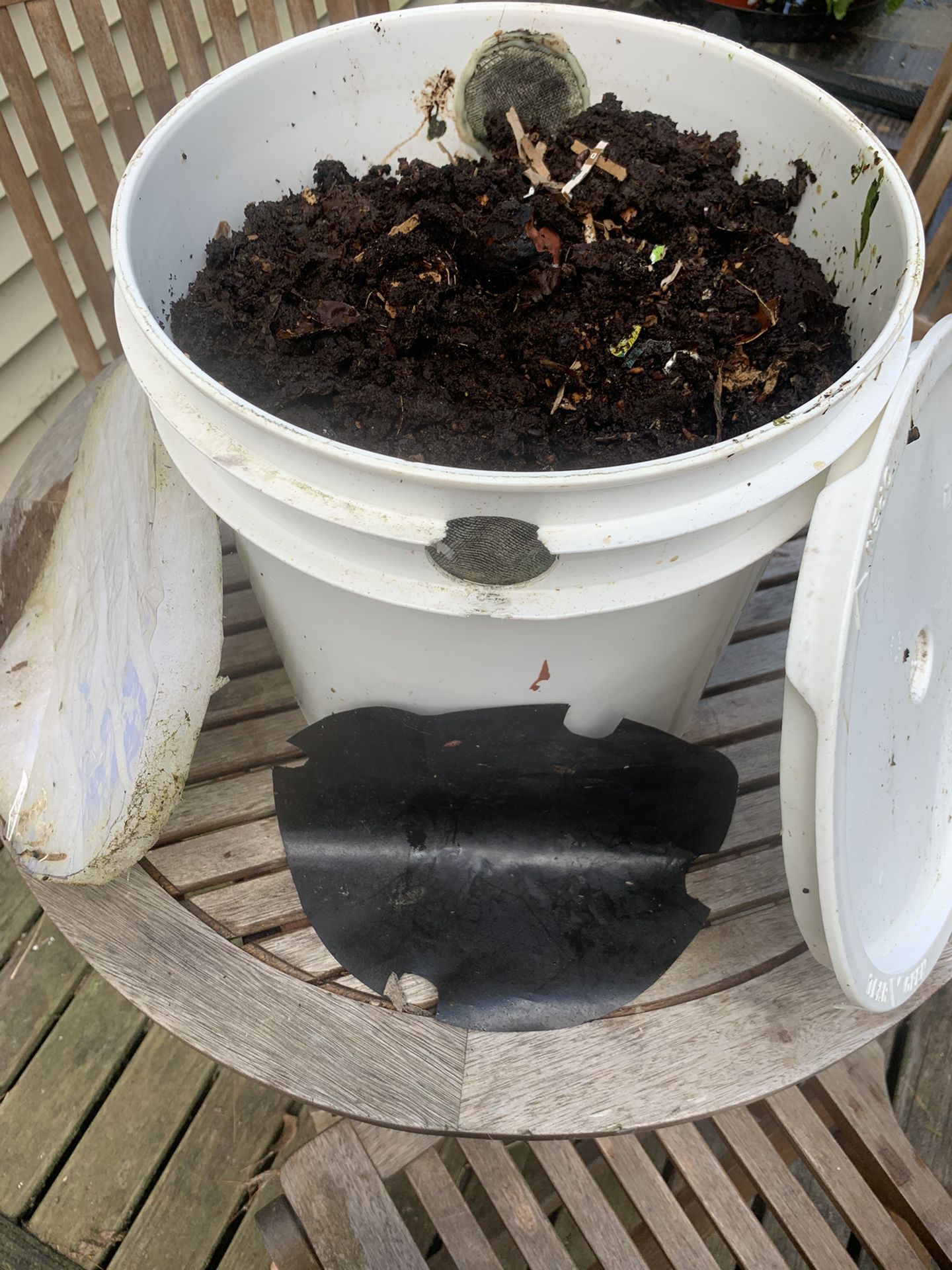 Composting  Worms  and Bin  