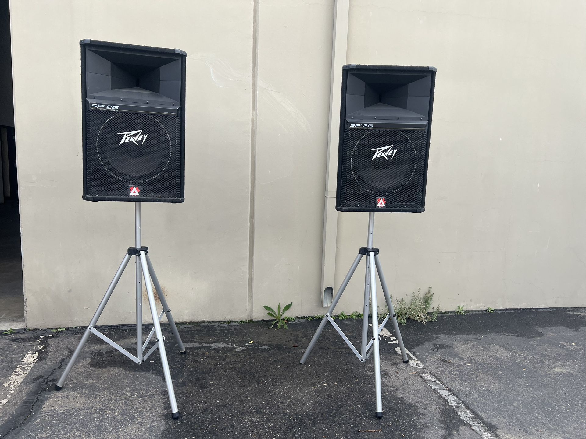 Peavy Speakers Set. 15” Black Widow Sound.