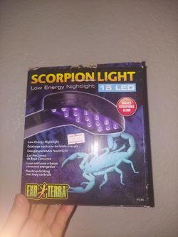 Scorpion Nightlight