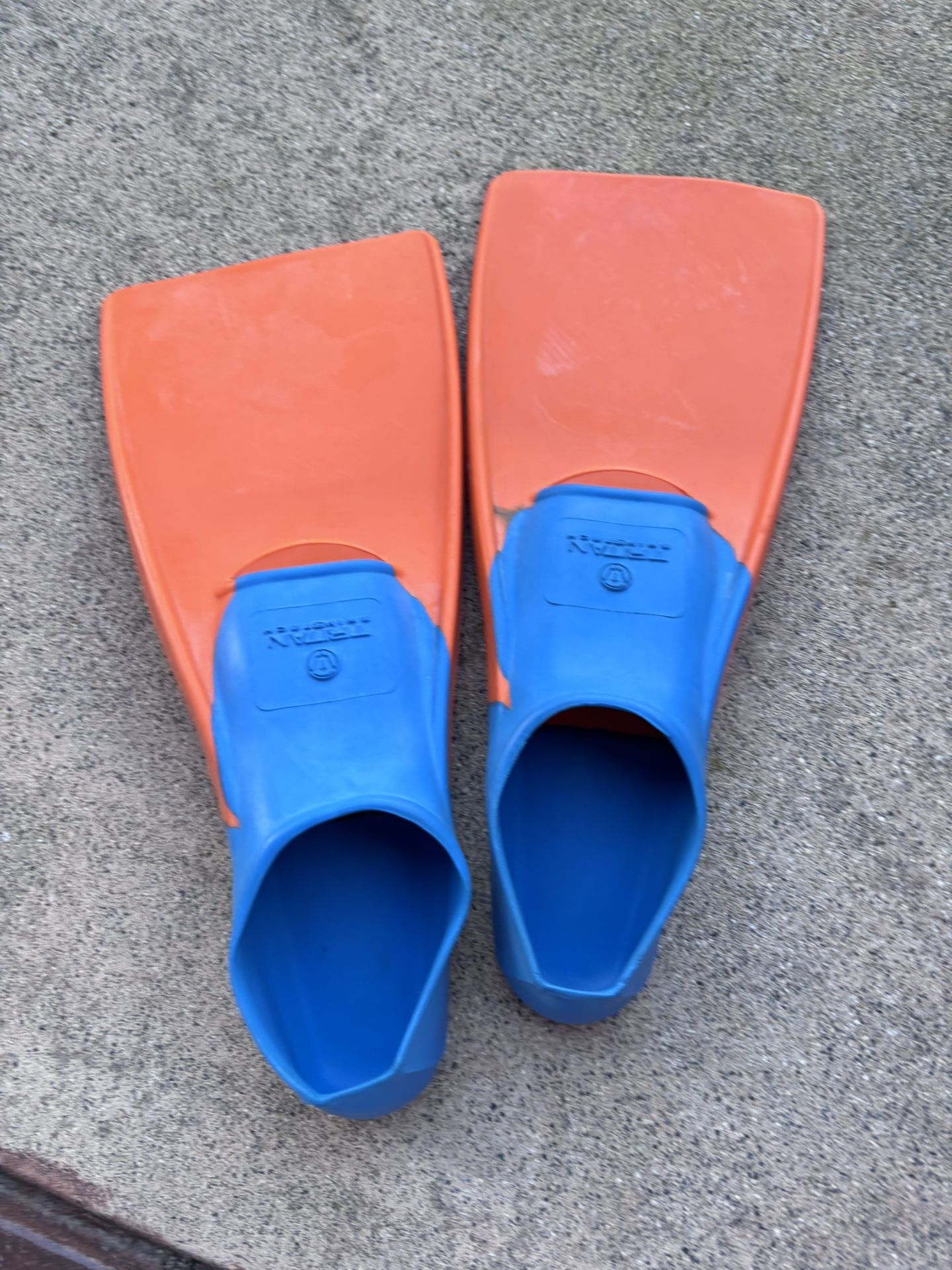 Swim Fins
