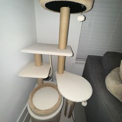 Cat Tree
