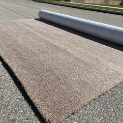 Carpet 12x22.6