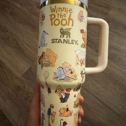 Winnie the Pooh Stanley cup