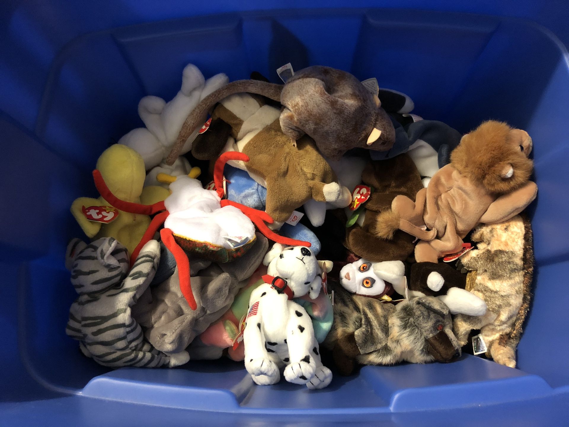 TY Beanie Babies Collection 45pcs.