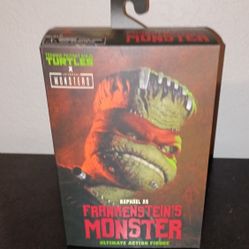 NECA Raphael As Frankenstein's Monster 