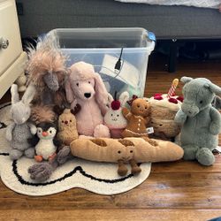 10 Jelly Cats Without Original Tags  Price negotiable