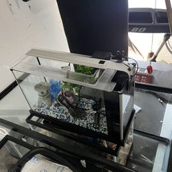 Fish Tanks/reptile Tank