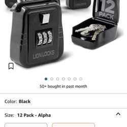 Lion Locks 12-Pack Alpha Key Storage Lockbox, Set-Your-Own Code Lock, Portable Key Holder, Rust-Proof Secure Outdoor Safe, Hide-a-Key Safe Box, Lock B
