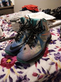 Labraun James Platinum Ten Sz. 13