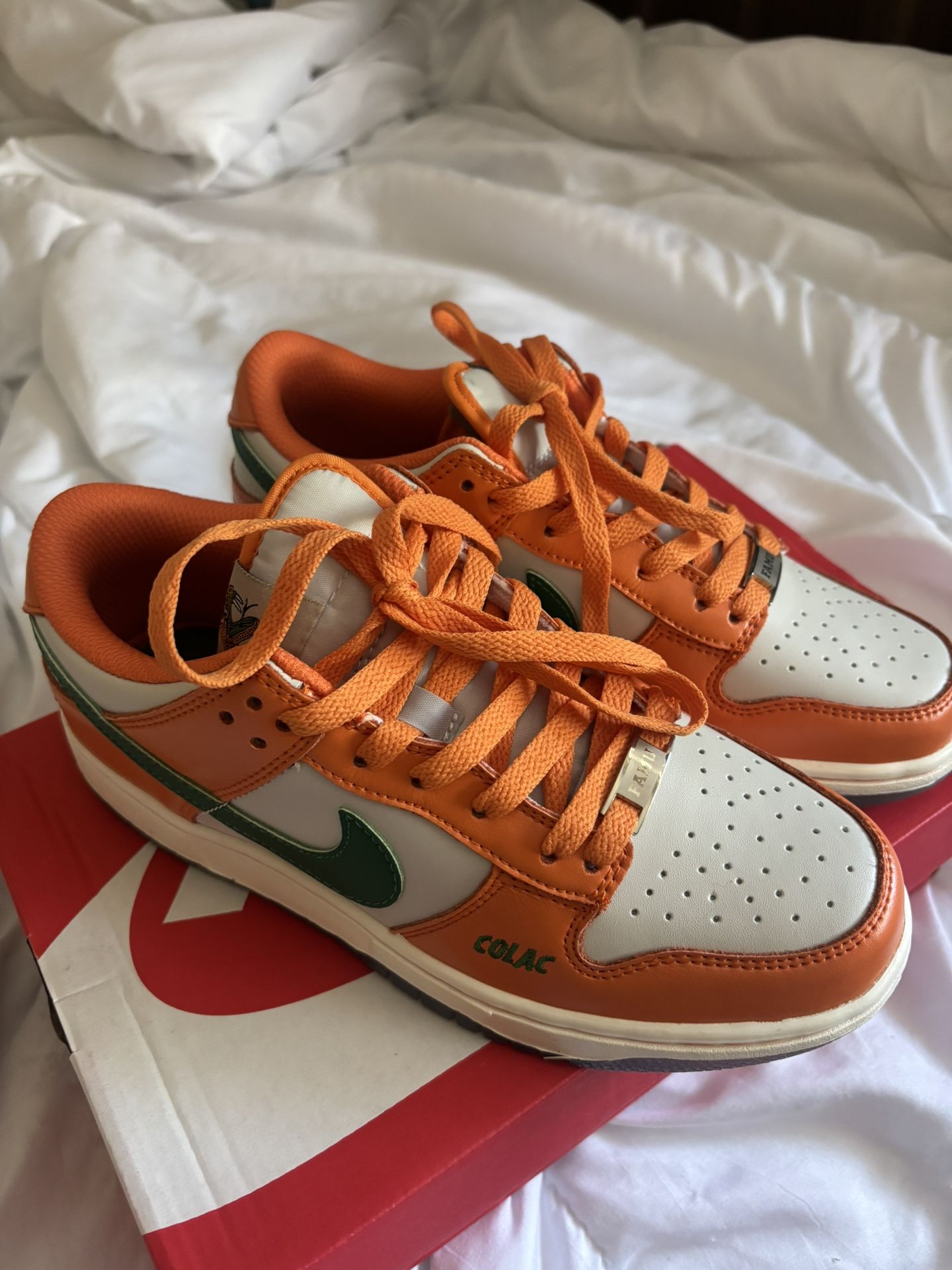 FAMU x Nike Dunk Lows