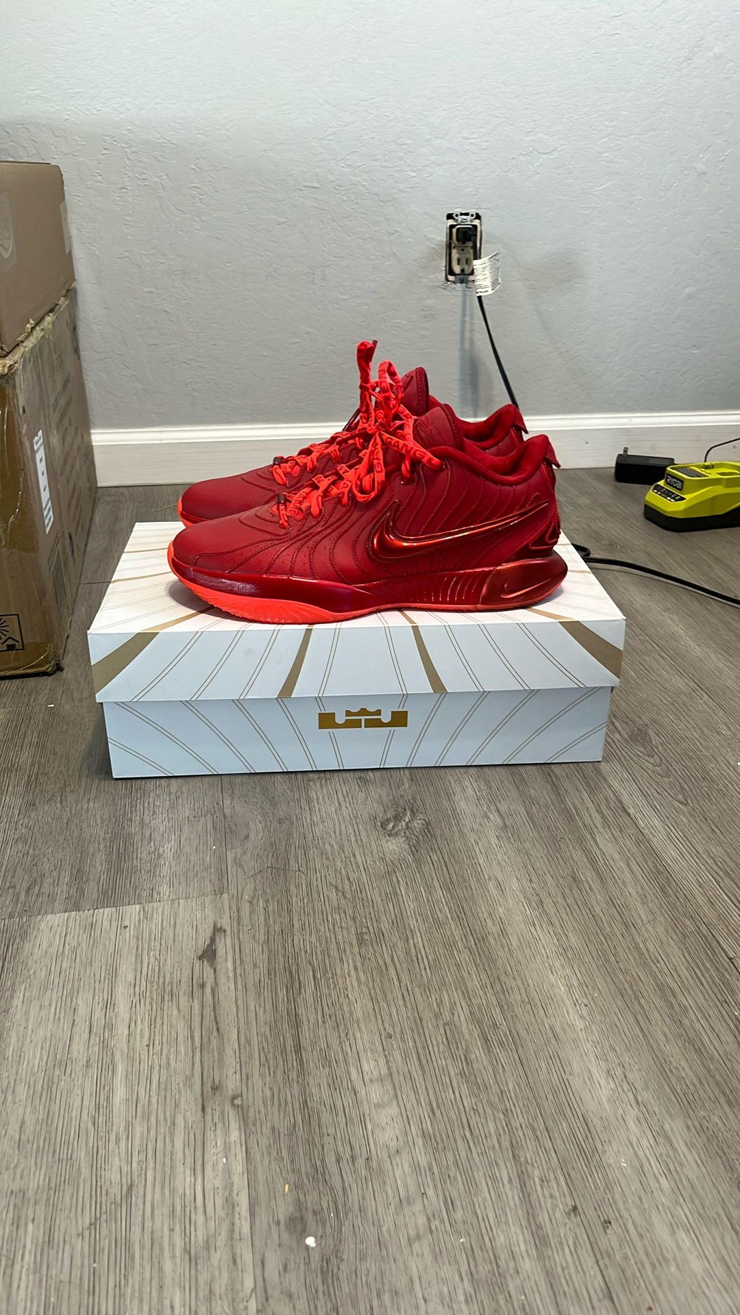 Lebron xx1