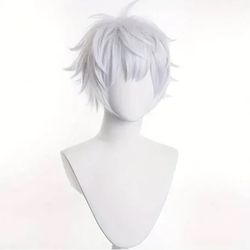 Gojo Cosplay Wig