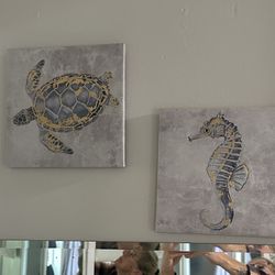 Sea life beach theme