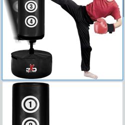 Standing punching bag