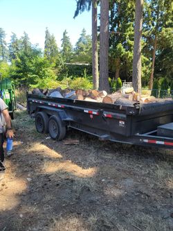 Firewood , seasoned  Fir 