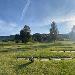 Cemetery Plots for Sale