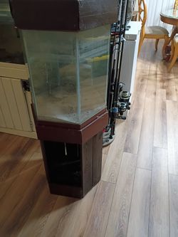 30 gallon octagon fish tank and stand