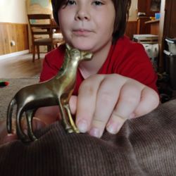 Golden Pony