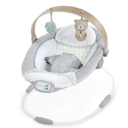 NEW! Ingenuity Baby Bouncer  
