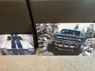 Car canvas set