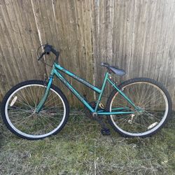 Mt fury bike/mongoose Dxr Al