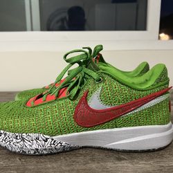 Nike LeBron XX Size 11 Men’s $100