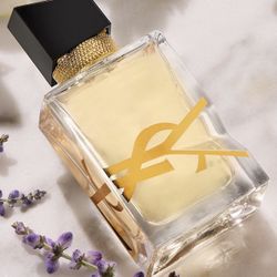 YSL Saint Laurent - Libre - eau de parfum & shower gel set 