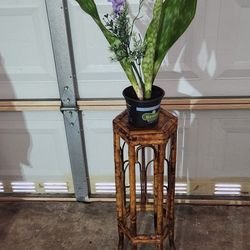 Bamboo Plant 🪴 Stand. 26" Tall. $35 Or Best Offer 