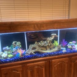  Reduced Again Large Fish Tank