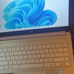 Hp Laptop 