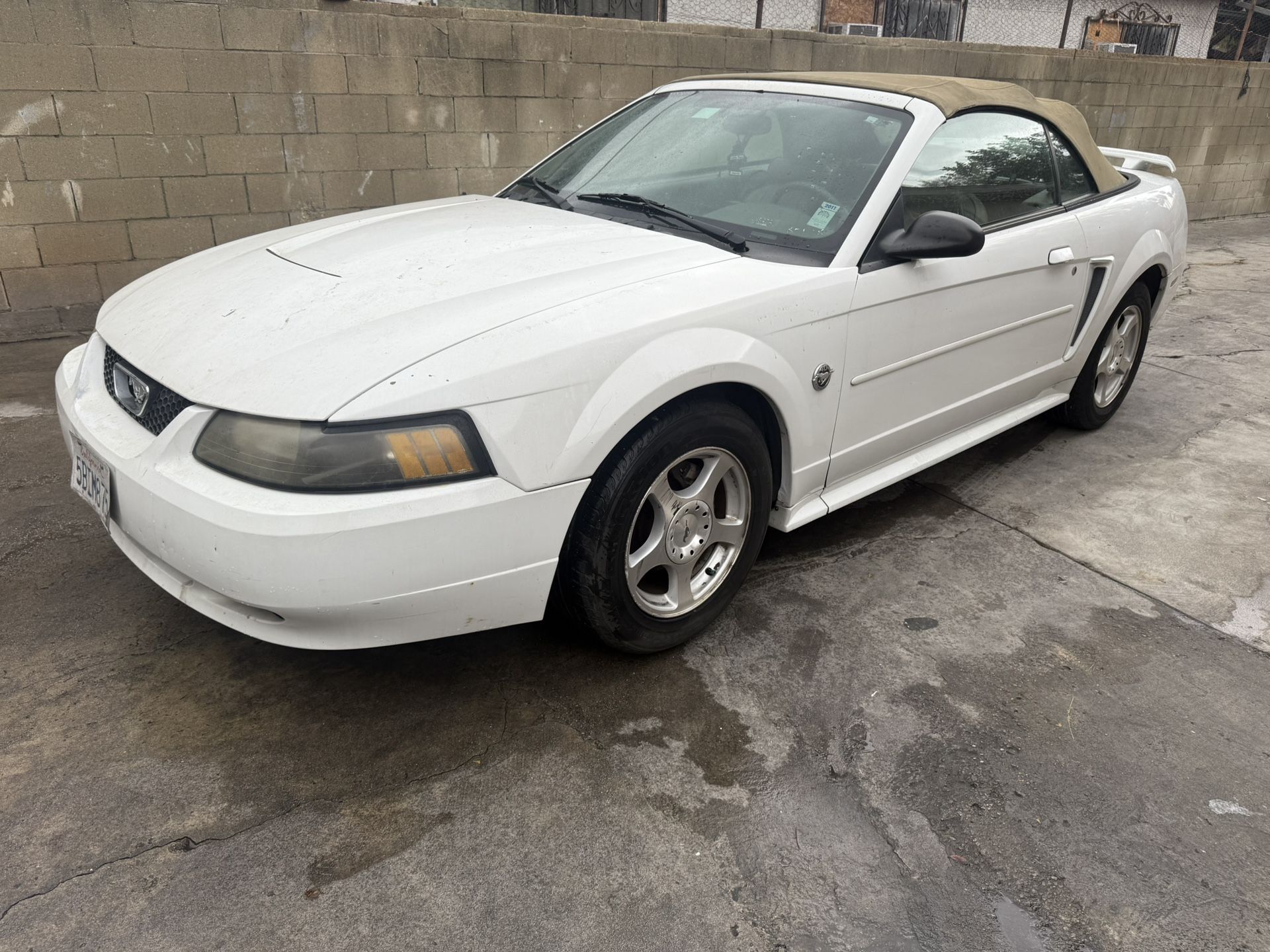 2004 Ford Mustang