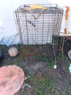 Xl dog cage
