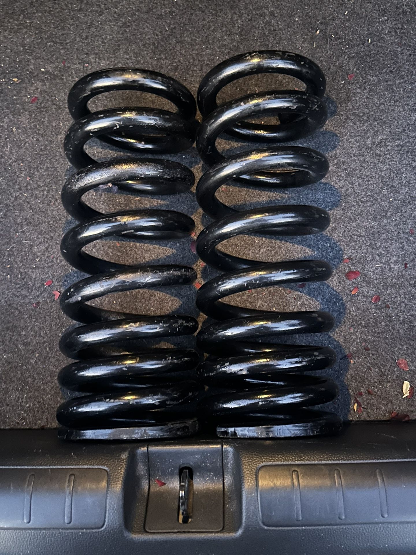 C1500 Front Springs