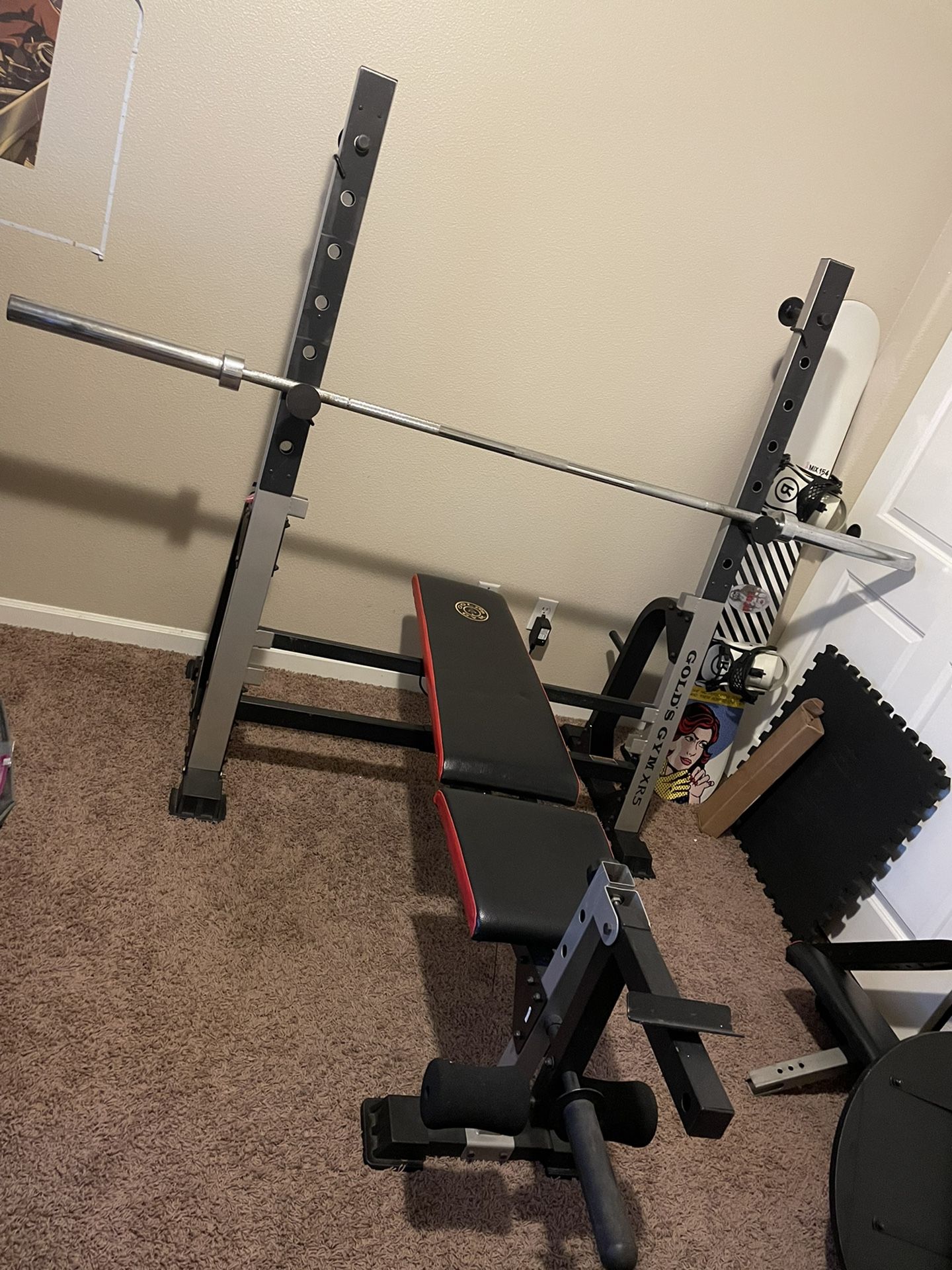 Golds Gym Complete Adjustable Weight Bench