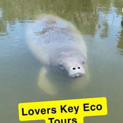 Lovers Key Kayak Tour 