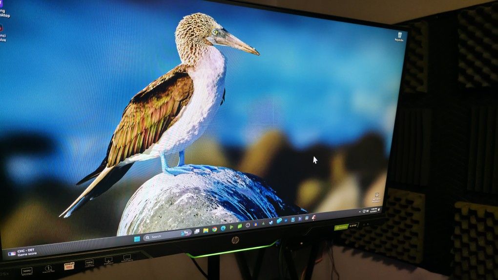HP -25x 24.5" LED FHD Gaming Monitor