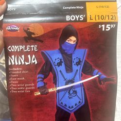 Boys Costume Size 10-12