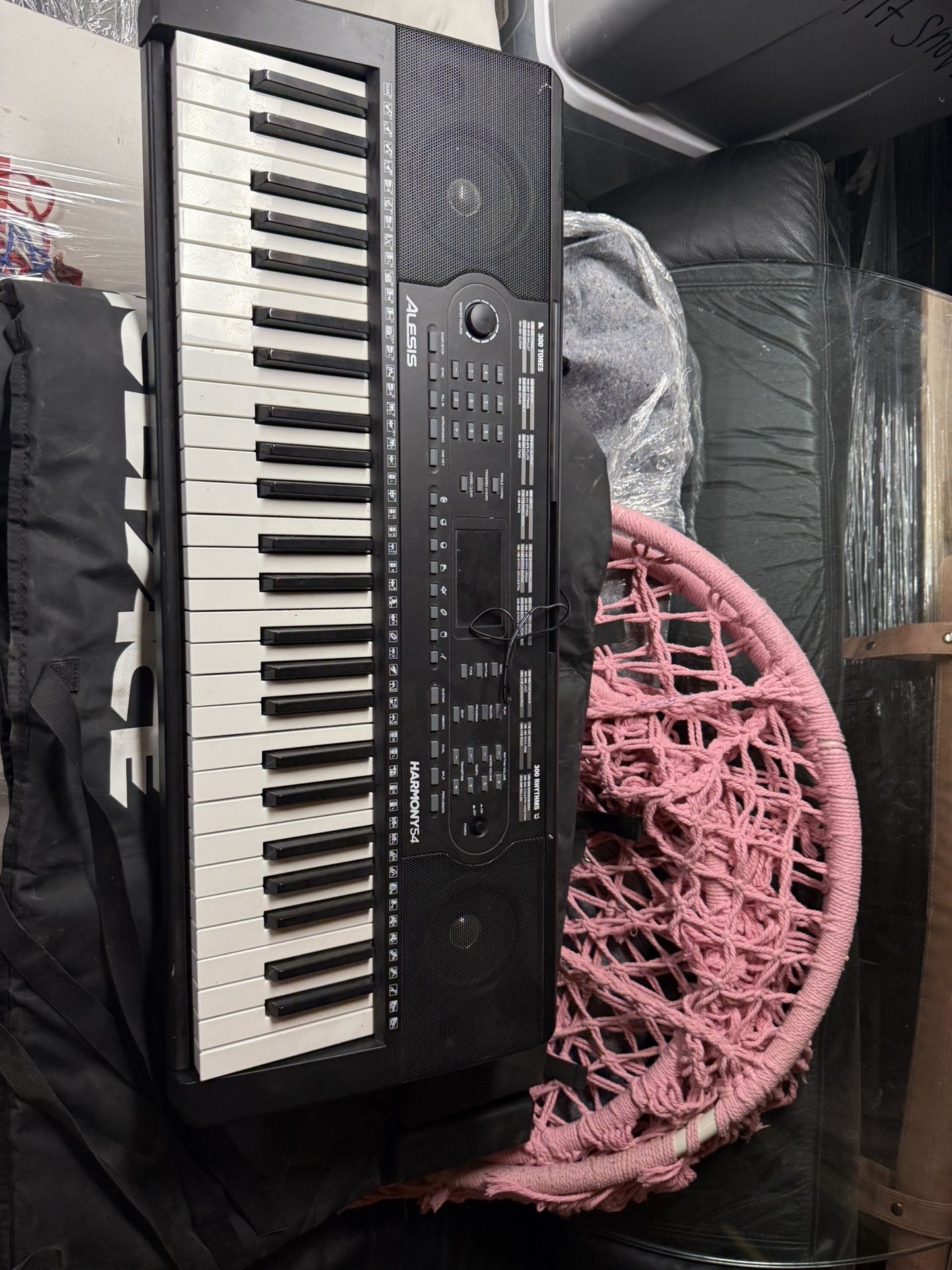 Alesis Keyboard And Stand 