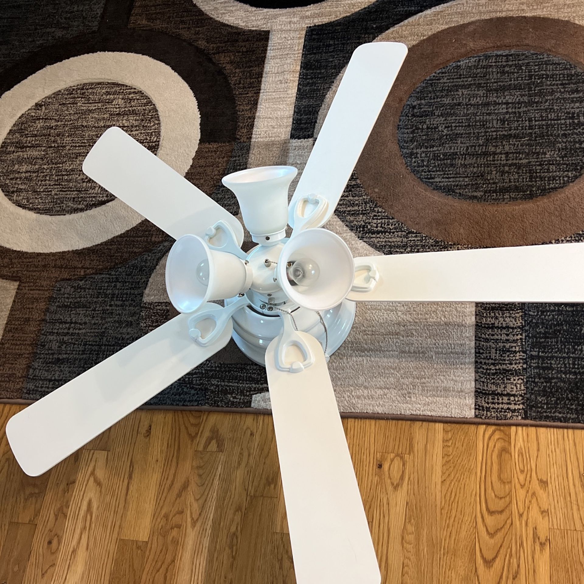 Ceiling Fan