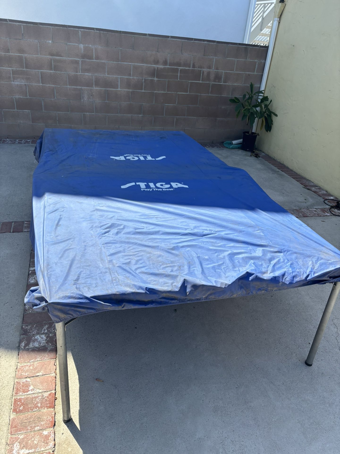 Ping Pong Table 