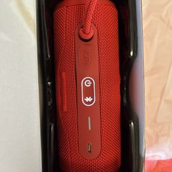 JBL Pulse 6 Portable Speaker Read Description 