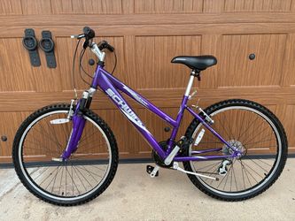 Schwinn Mountain Bike