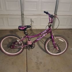 Purple Bike 