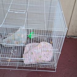 Bord, Or Critter Cage