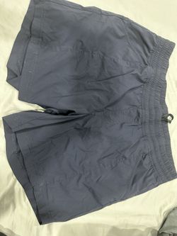 Northface Womens Shorts Flasdry