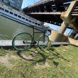 Golden cycle complete size 48