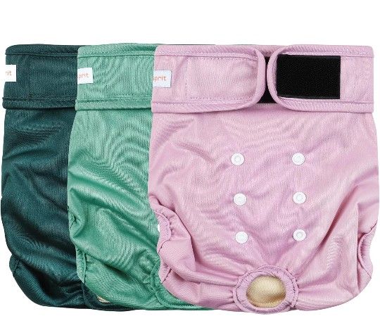 Female Dog Diapers