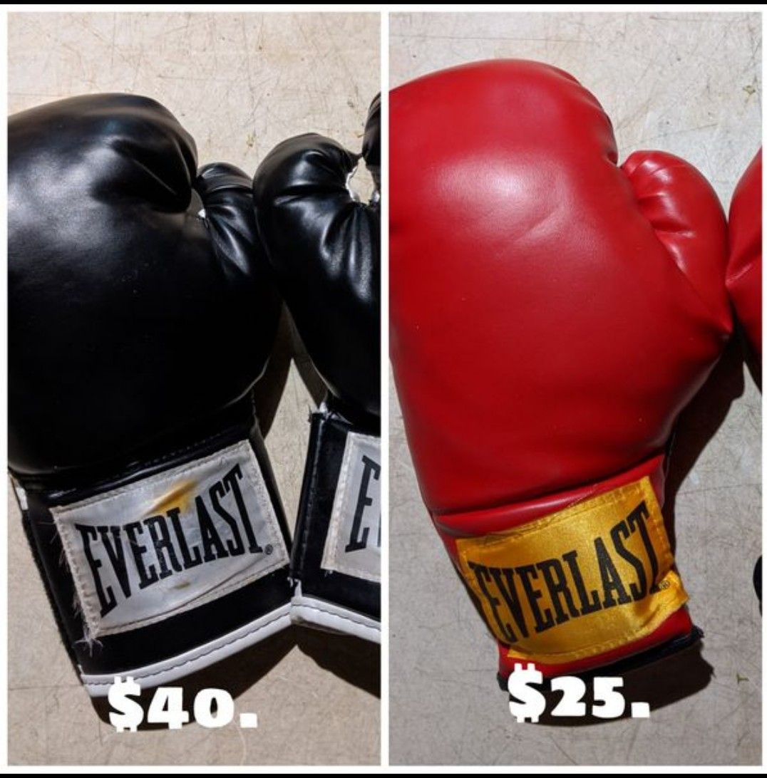 Everlast Boxing Gloves NEW! 12 OZ 12T